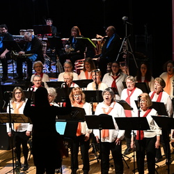 Concert OHVI SOPRALTI